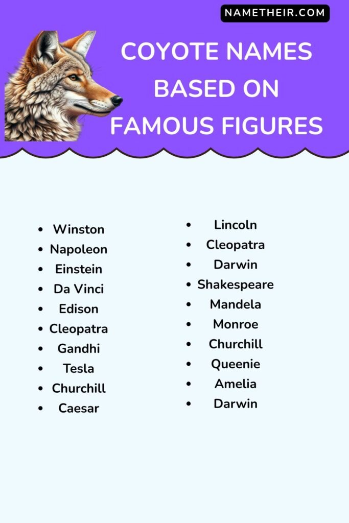 Coyote Names Based on Famous Figures