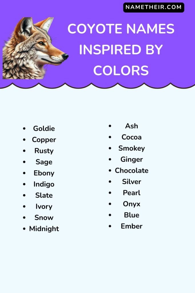 Coyote Names Inspired by Colors