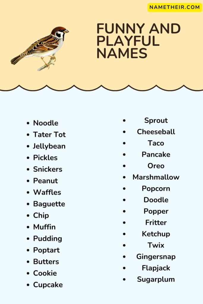 Funny and Playful Names