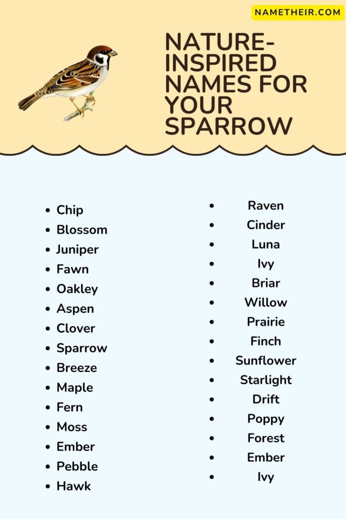 Nature-Inspired Names for Your Sparrow