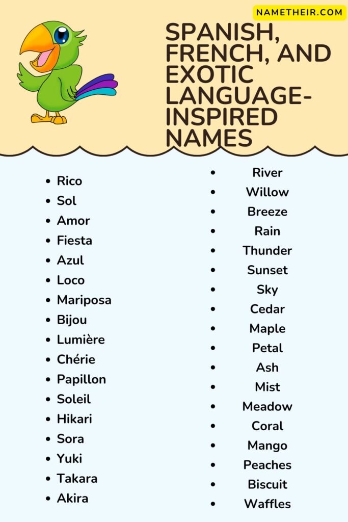 Spanish, French, and Exotic Language-Inspired Names