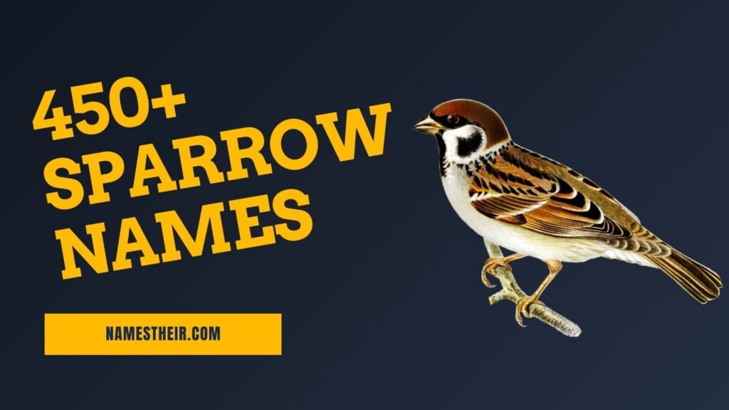 Sparrow Names