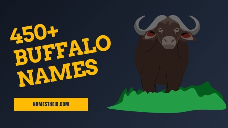 Buffalo Names