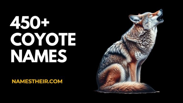 Coyote Names