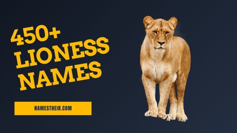 Lioness Names