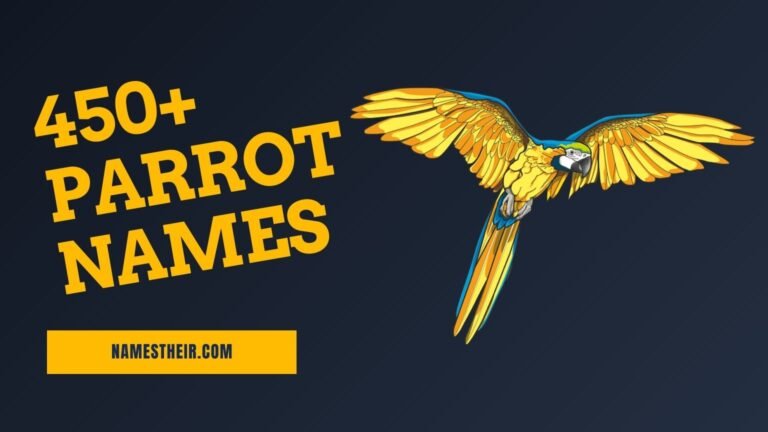 Parrot Names