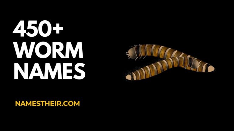 Worm Names