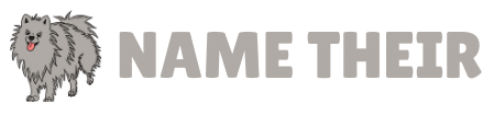 Name Their